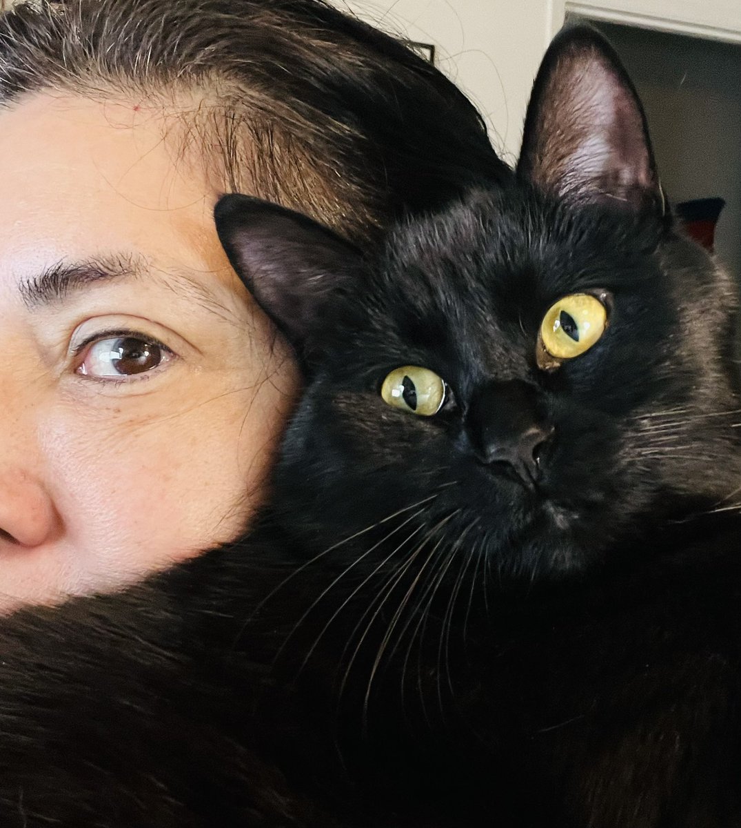 TracyFleck4's tweet photo. #3eyes #cats #CatsOfTwitter #CatsOnTwitter #BlackCat https://t.co/ee6bRZA2xB