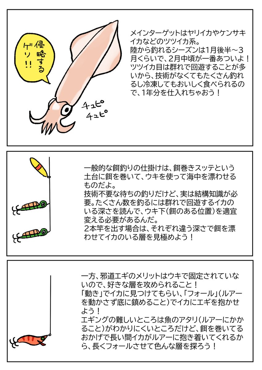 これからの季節、イカを釣ろう!
邪道エギングはルアー釣りと餌釣りのハイブリッド。
ルアーの手返しの良さと餌の集魚力を合体だ!
一番のいいところは、「スッテ釣りと比べてイカのアタリと引きが味わえて楽しい」ところだよ♡ 