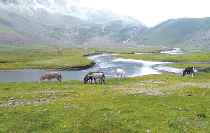 RisingKashmir's tweet photo. #Gager #Rayil: A lesser known #tourist #destination
Reports @javidsofii
https://t.co/DsHA4DJW60 https://t.co/c3xAYWiwNX