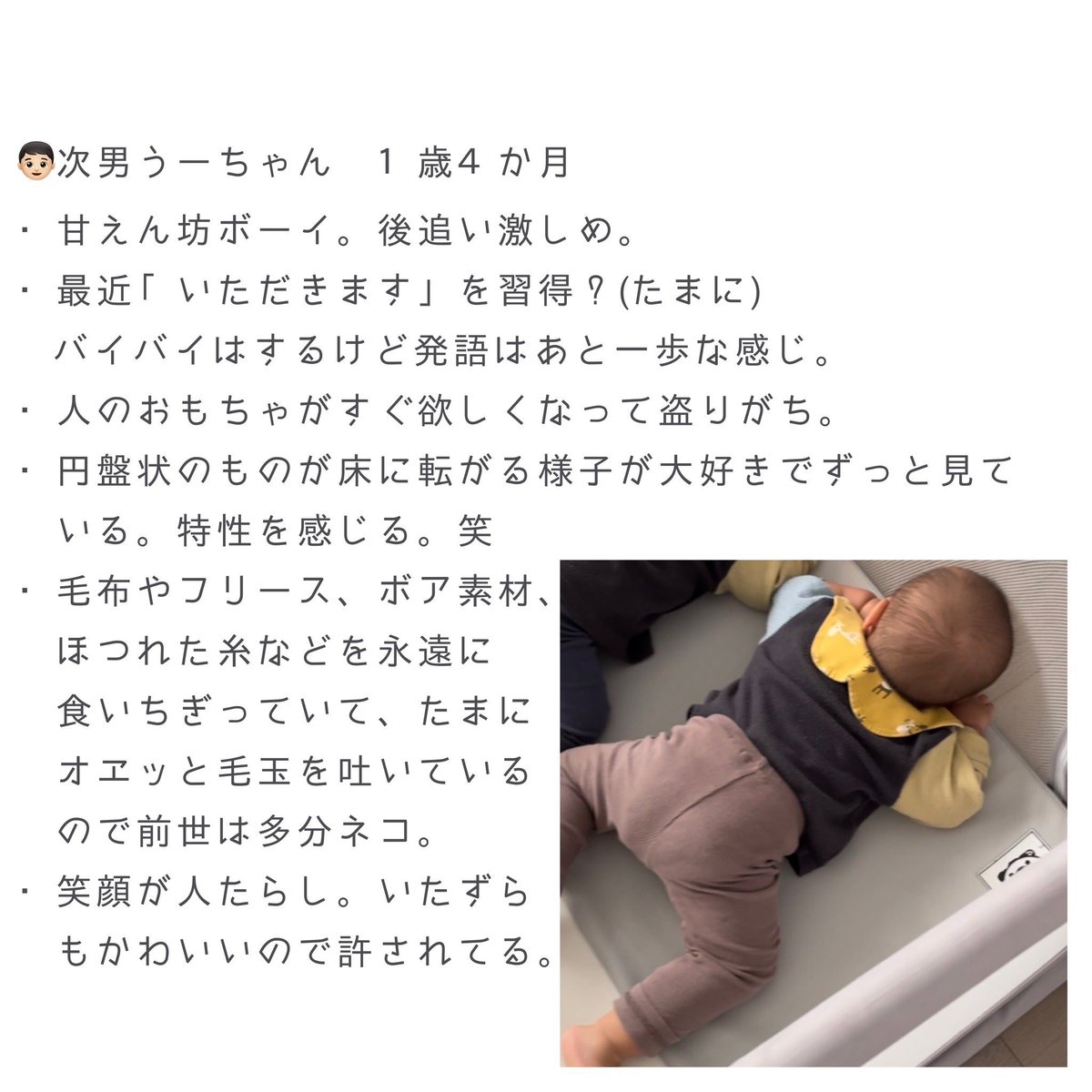 aaaooo2329's tweet photo. 我が家のメンバー紹介
#三つ子
#多胎
#多胎児 https://t.co/W3dPi9TWKF