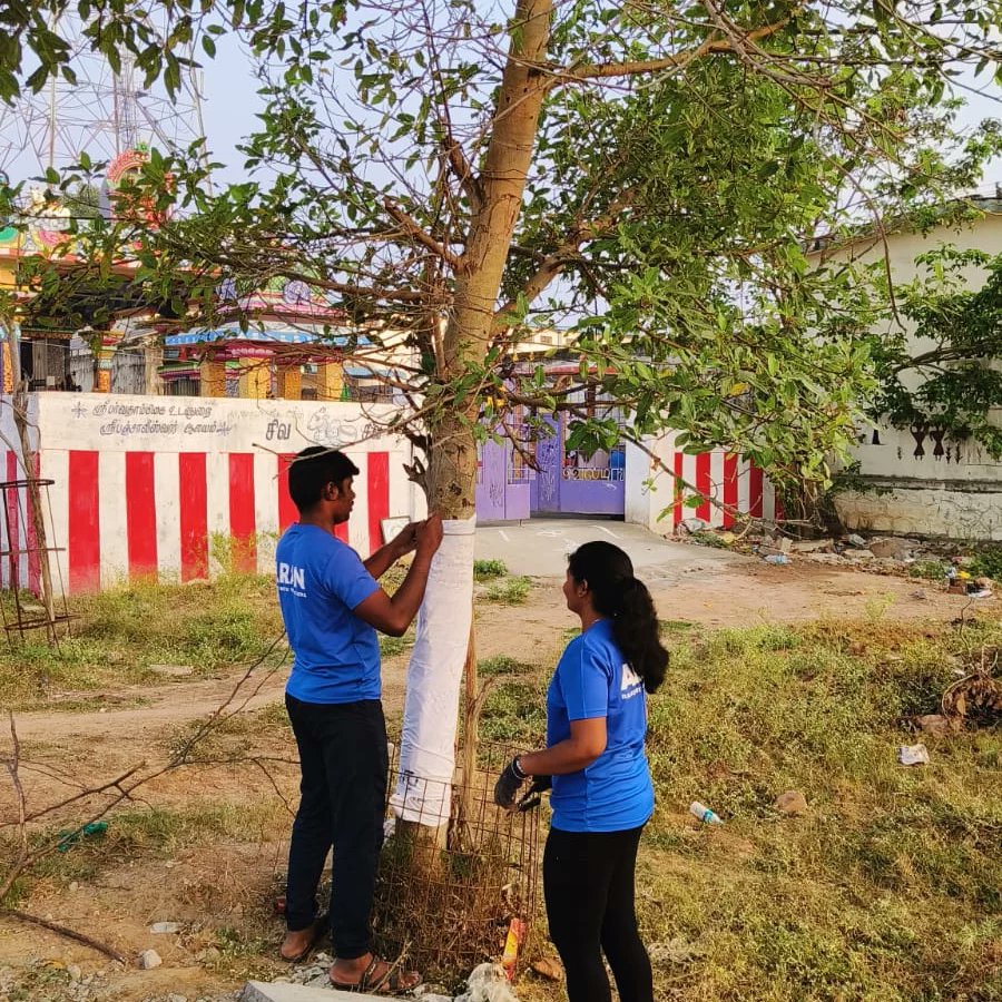 aranvolunteers's tweet photo. Tree Doctors in Action 🌴
Today morning, our tree doctors were in action at Panchaleeshwarar Temple saving trees.
With cattle menace and people taking away tree guards, we are trying our best to save these trees.
@supriyasahuias
#Aran #Trees #TreeDoctors #TreeCare #NGO https://t.co/Edu3DrrIiF