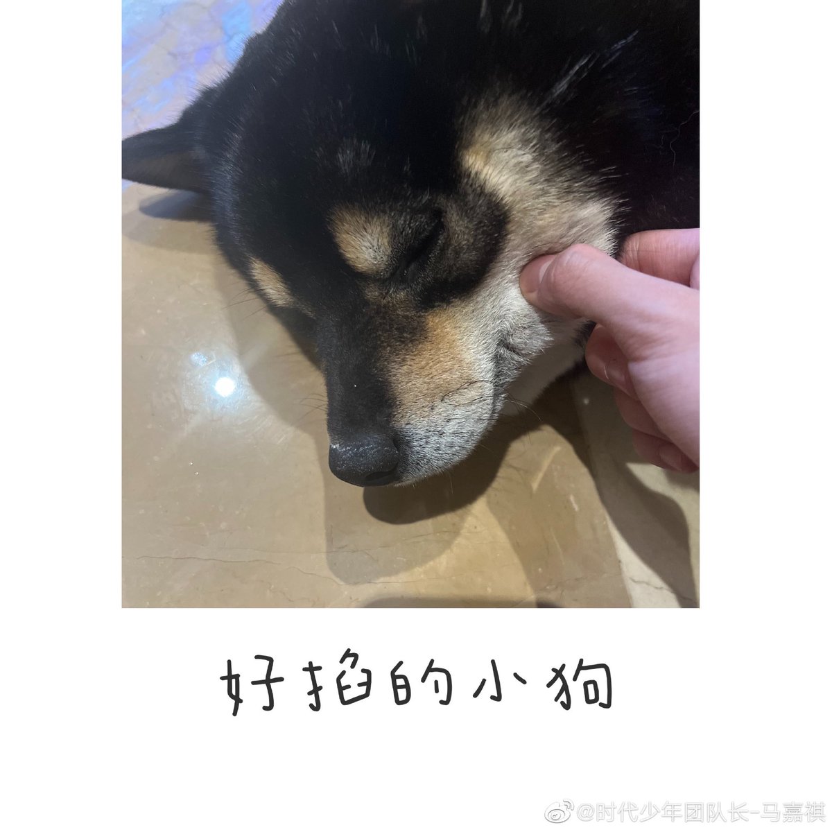 mjqballoon's tweet photo. 新年快乐🧧 https://t.co/JQynja04WE