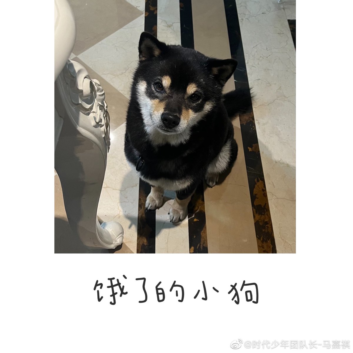 mjqballoon's tweet photo. 新年快乐🧧 https://t.co/JQynja04WE