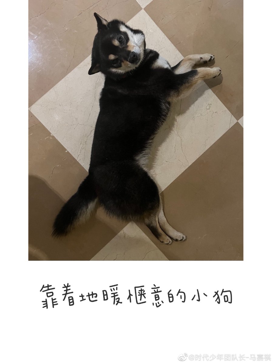 mjqballoon's tweet photo. 新年快乐🧧 https://t.co/JQynja04WE