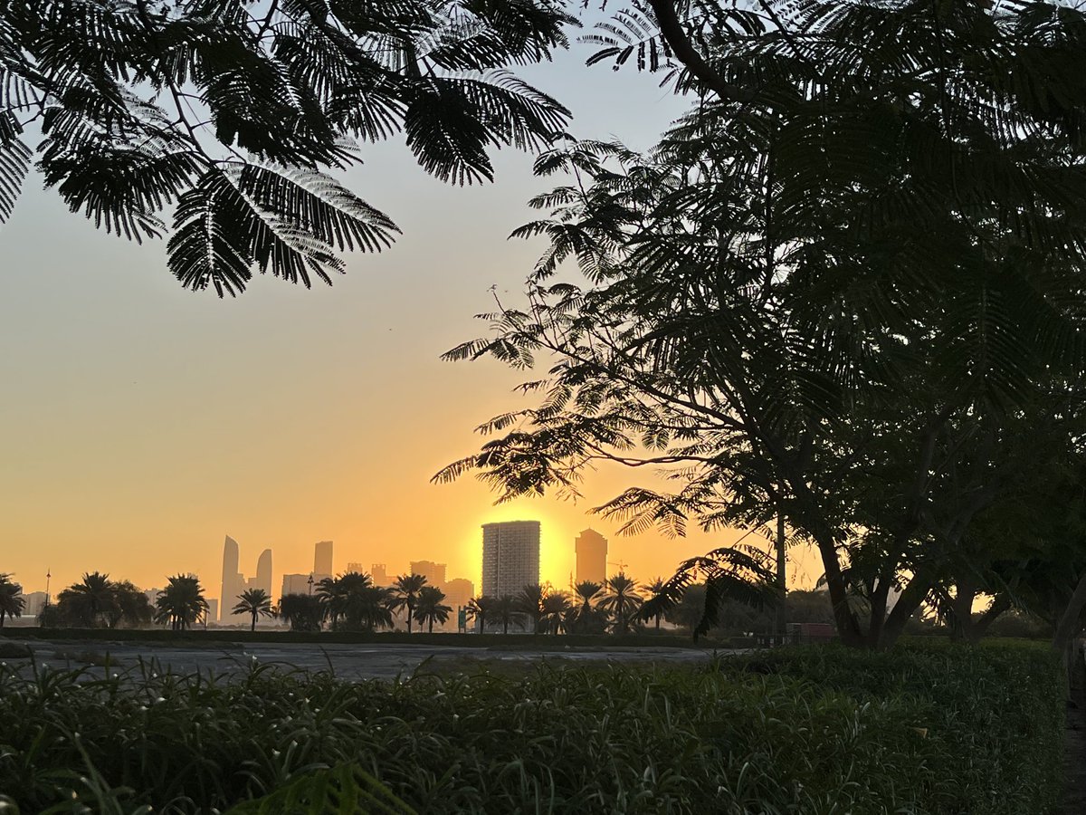 🚘 🦚🚦🌆
One of the best ways to experience the city is to take off in the direction of the early morning sun. Never disappoints. Packed a refreshing run and enjoyed the sights too. #dubairunning