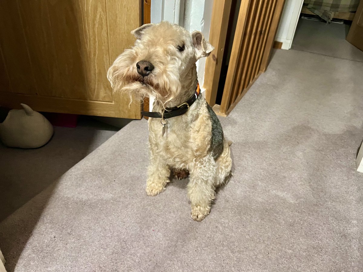 Happy Sunday everyone …… it’s all a bit squiffy 💋