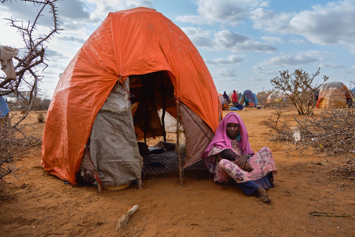 More tan 1.4 million people have been displaced by the extreme #DroughtinSomalia. 

The scale-up of humanitarian assistance contributed to avert famine last year, but if not sustained, high-risk of famine is projected by April. 

We need solutions now to save and protect lives.