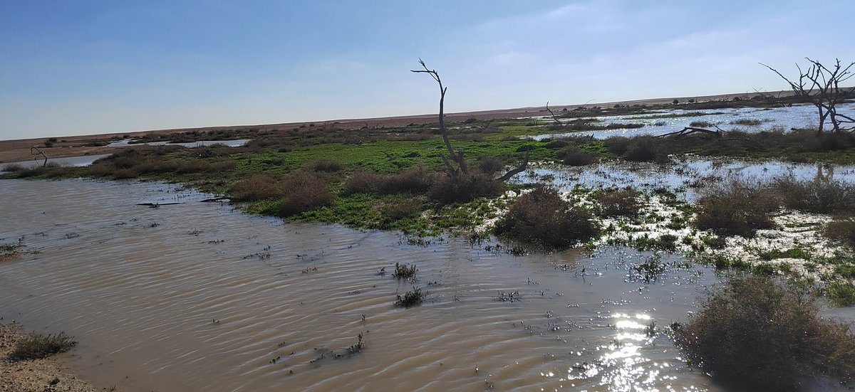 من فياض الصمان الشمالي من 1444/6/24 إلى 6/28