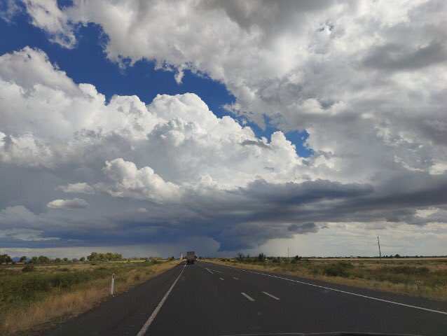 HazelScienceNut's tweet photo. Fun #roadtrip with the Brisbane #CSIROag #vacationstudents to #Narrabri for the #studentsymposium! Join us for 19 fantastic and diverse talks showing the amazing range of science we do @csiro from 9am local time. @theGRDC @csd_cotton @CottonResearch https://t.co/7zg7BdGeli
