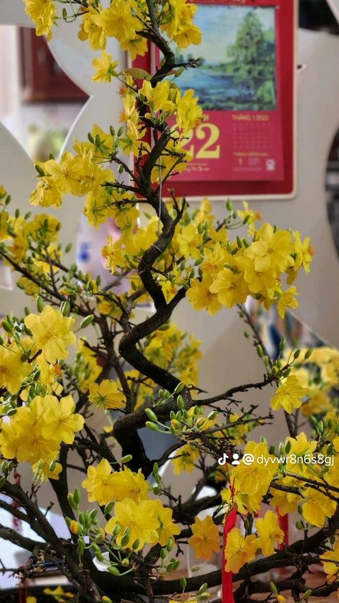 xuyen296's tweet photo. Happy Lunar Year 2023 https://t.co/BhPcNK5oIw