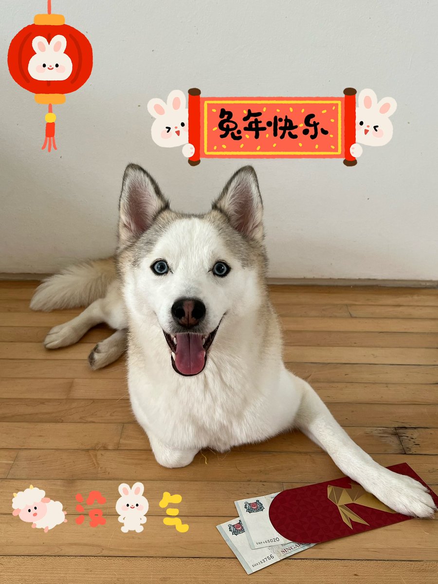 Miso says happy new year everybody!