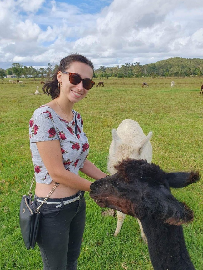 Daughter’s Alpaca farm birthday weekend with Joshypoos. Alpacas didn’t spit at them, yay!