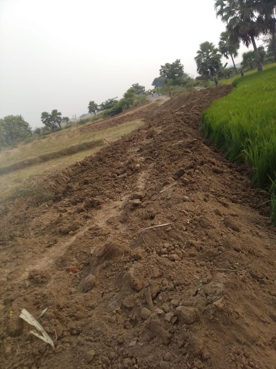 Alokje79's tweet image. #JusticeForSc
#ScStAct
निजी जमीन में, जहानाबाद JDU प्रखंड अध्यक्ष (रणधीर कुमार सिंह) के द्वारा जबरदस्ती रोड बनाया गया है। #Justice 
@yadavtejashwi
@bihar_police 
@DM_Jehanabad 
@RJD_BiharState 
@NitishKumar
@Shrawon_Nalanda