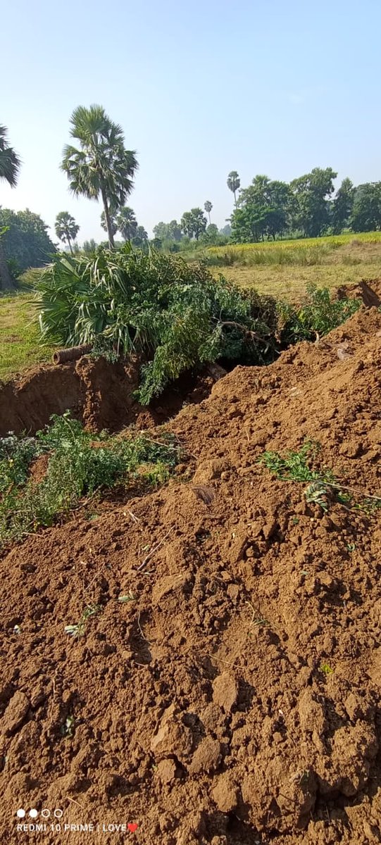 Alokje79's tweet image. #JusticeForSc
#ScStAct
निजी जमीन में, जहानाबाद JDU प्रखंड अध्यक्ष (रणधीर कुमार सिंह) के द्वारा जबरदस्ती रोड बनाया गया है। #Justice 
@yadavtejashwi
@bihar_police 
@DM_Jehanabad 
@RJD_BiharState 
@NitishKumar
@Shrawon_Nalanda