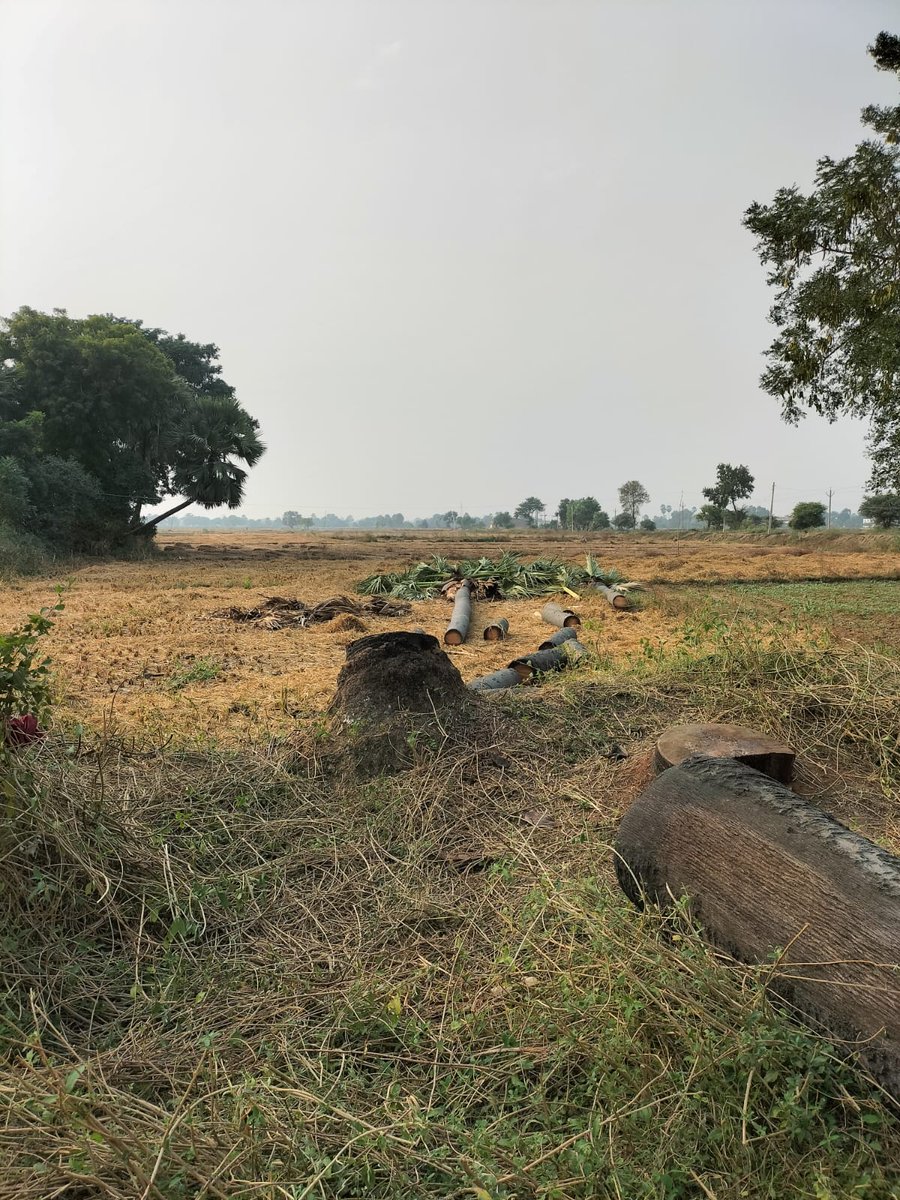 Alokje79's tweet image. #JusticeForSc
#ScStAct
निजी जमीन में, जहानाबाद JDU प्रखंड अध्यक्ष (रणधीर कुमार सिंह) के द्वारा जबरदस्ती रोड बनाया गया है। #Justice 
@yadavtejashwi
@bihar_police 
@DM_Jehanabad 
@RJD_BiharState 
@NitishKumar
@Shrawon_Nalanda