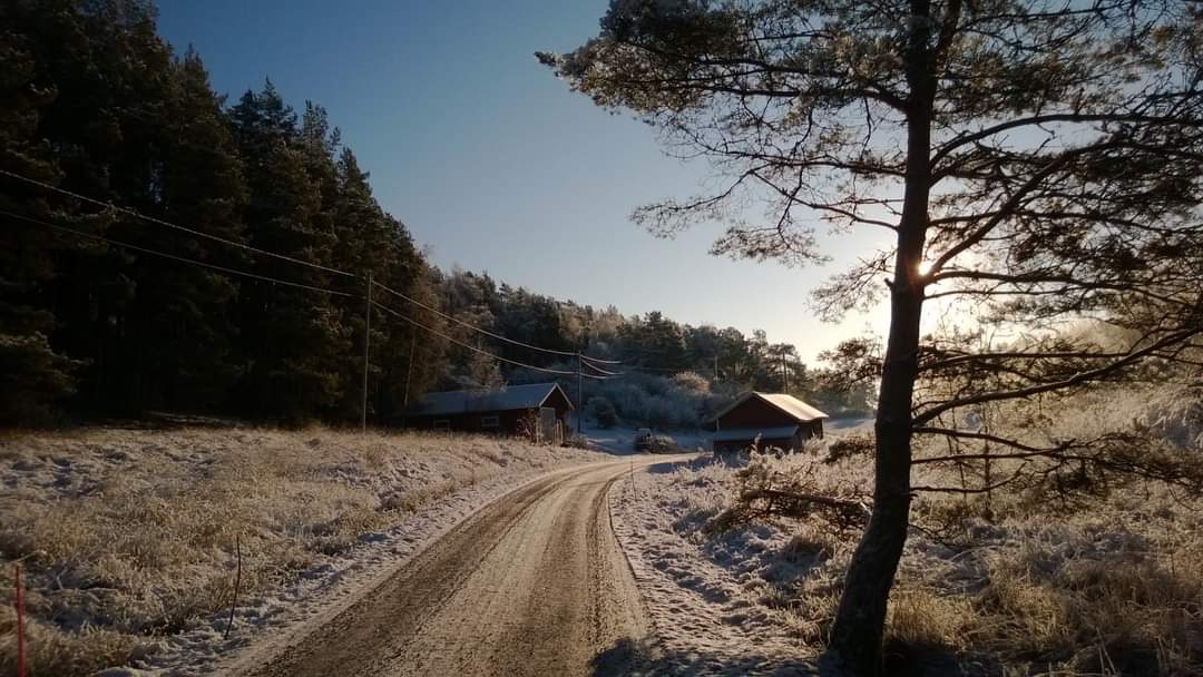 sariruusumo's tweet photo. Good morning, rise and shine! In January some snow is better than no snow at all... #Otava #Merimasku #Naantali https://t.co/ofalBt0xOr