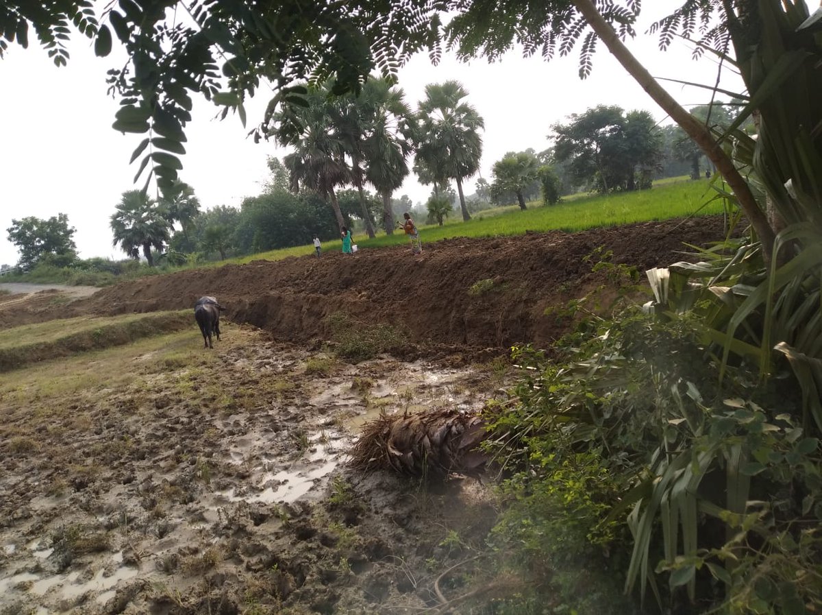 Alokje79's tweet image. निजी जमीन में, जहानाबाद JDU प्रखंड अध्यक्ष (रणधीर कुमार सिंह) के द्वारा जबरदस्ती रोड बनाया गया है।#JusticeForSC
@NitishKumar 
@yadavtejashwi