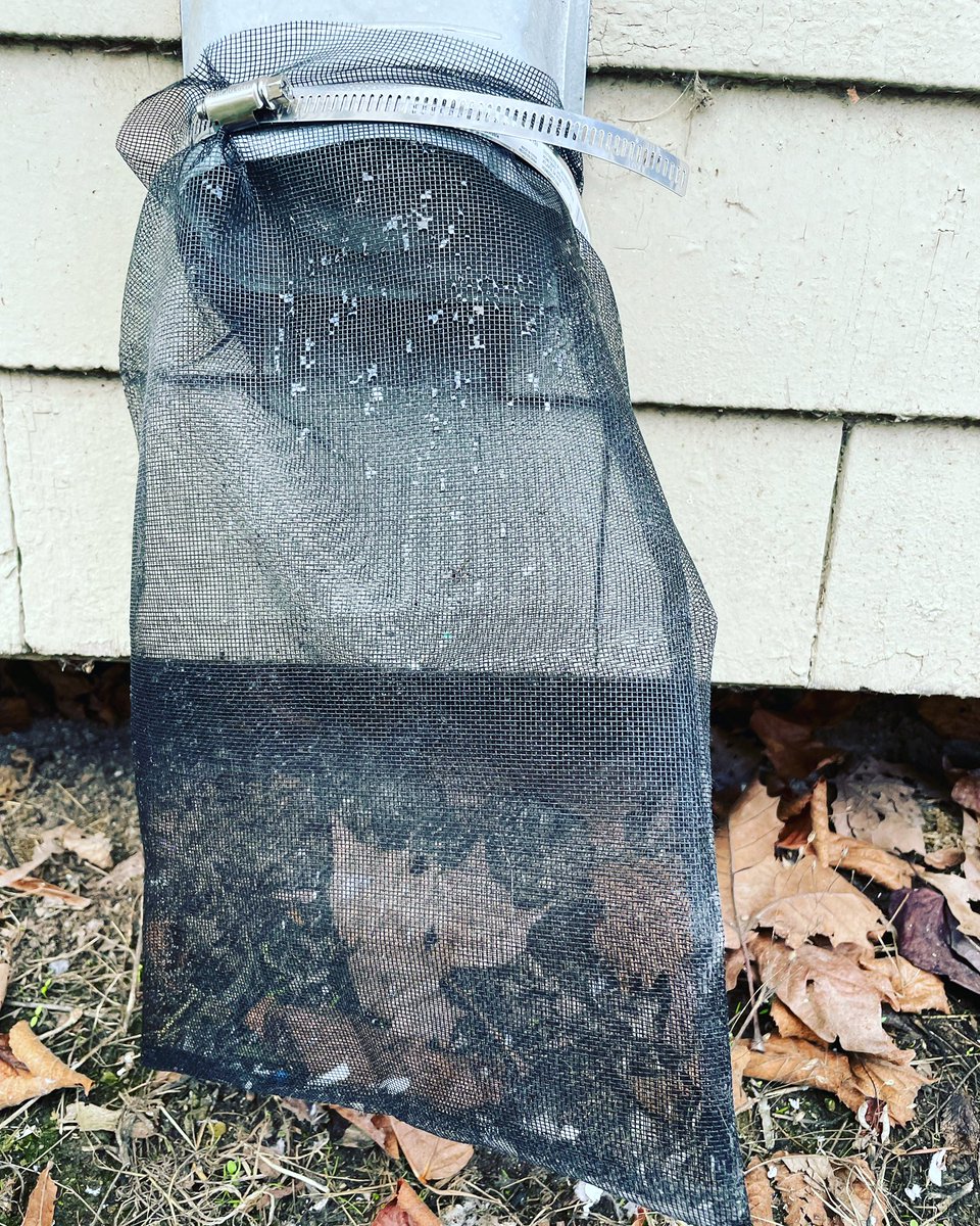 smbrander's tweet photo. PSA - this mesh filter bag now attached to our dryer vent was $10. Pictured is lint released from just two loads of laundry. Add one if you can, especially if you live in a rainy climate where hanging clothes out to dry doesnโt work well.
@pnwmicroplastic #microfiberpollution https://t.co/KdA8Ey4Ozu
