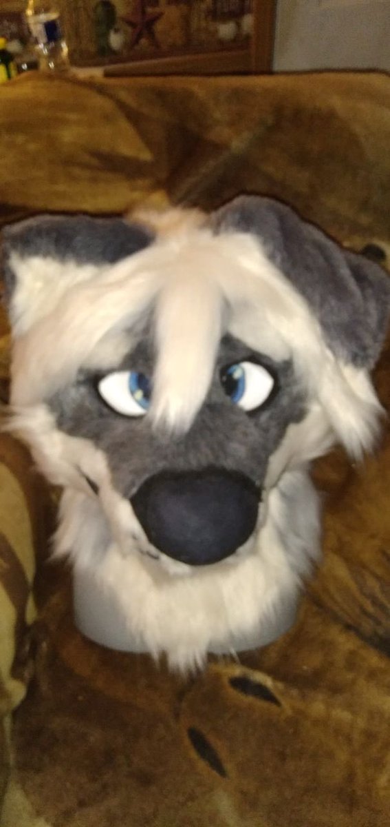 PI_Fursuits's tweet photo. @AntiDarkHeart I make art n fursuits! DM for a commission! https://t.co/ird5esilXe