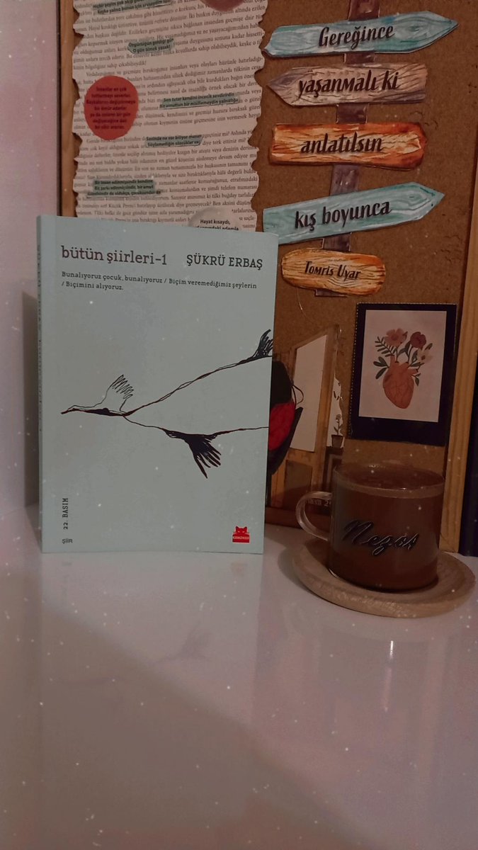 Ne konuşmalarımızda tat kaldı
Ne susmalarımızda bir hikmet 
(Hep aynı boşluğa açıldı dar kapılar)
#şükrüerbaş