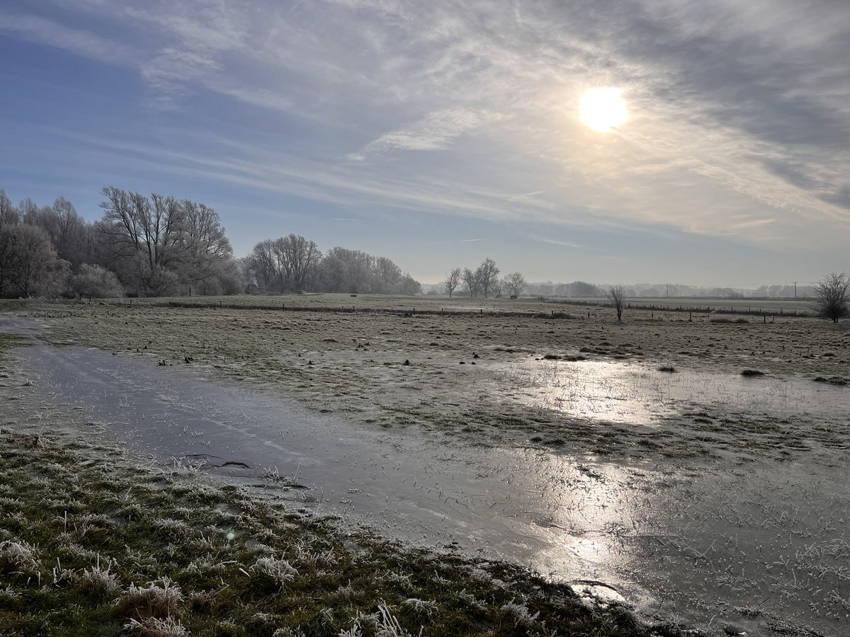 A beautiful morning spent on the @_NeneValley ❄️🦢

@Discover_N_