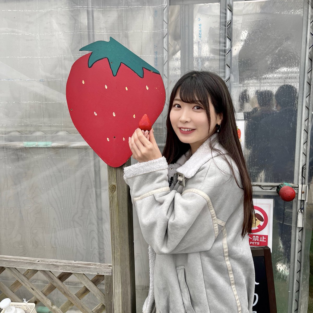 今日はいちご狩りに行ってきました🍓 怒涛の18連勤が控えてるので、終わったら草津へおつかれひとり温泉旅でもしようかなと考えてて 調べたら、いちご狩り行って温泉に行く日帰りツアーなんかもあるみたい🥺 日帰りツ…https://t.co/IwN7v2nKJ6