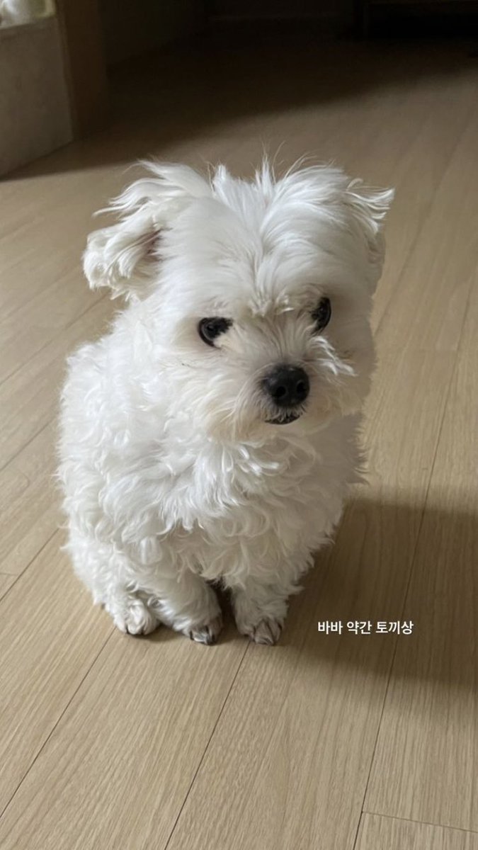 oomoolS2's tweet photo. 오제발ㅠㅠㅠㅠㅠㅠㅠㅠㅠ준영샘 스토리 너무 귀엽다...ㅠㅠㅠㅠㅠㅠㅠ https://t.co/KEnj4NzsjC