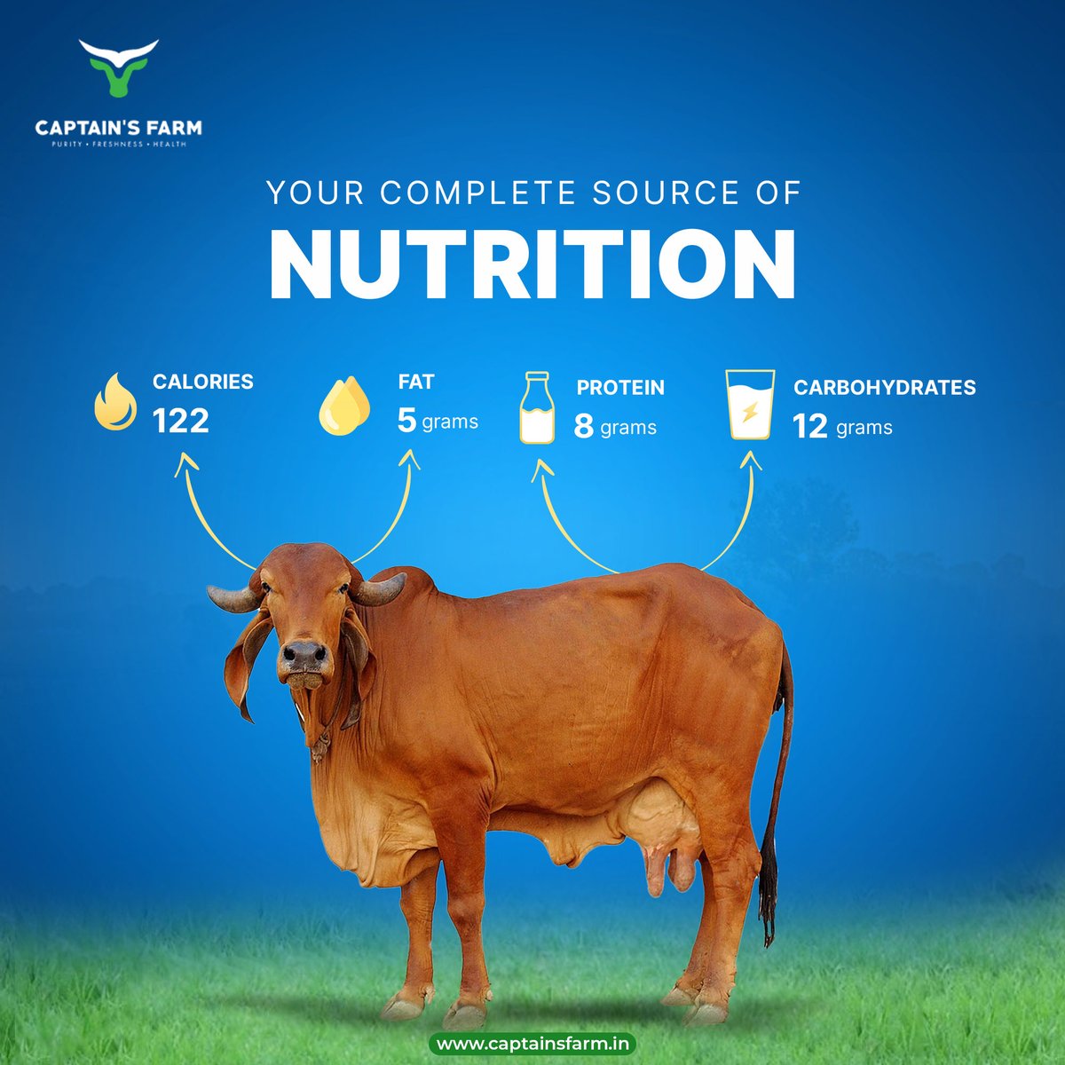 A2 Gir Cow milk is certainly a super food. It is a rich source of protein, carbs and good fats. 

To fulfill your nutritional needs  click here - tinyurl.com/45kw66bk

#A2gircowmilk #gircow #A2milk #milkbenefits #milknutrition #superfood #nutrients