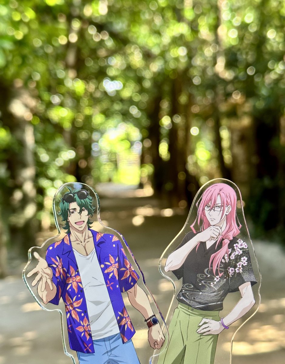 美ら海と古宇利大橋と桜祭り、フクギ並木、と色々おデートしたｼﾞｮﾁｪ🐯🌸✨☺️