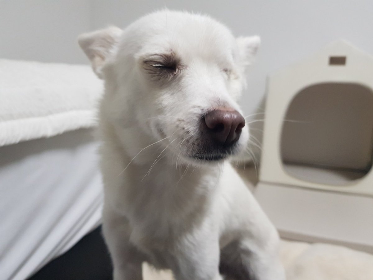 조금 골격이 자란 거 같아요