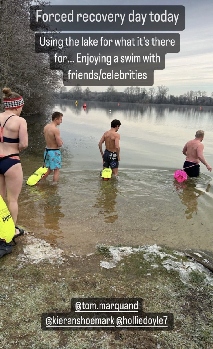 Matt Chapman tweet media