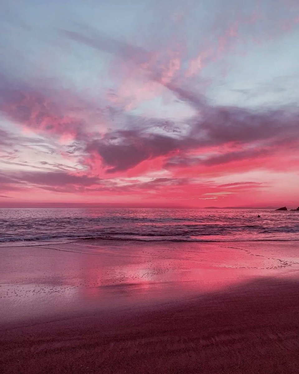 Aesthetics (@aestheticspost_) on Twitter photo 