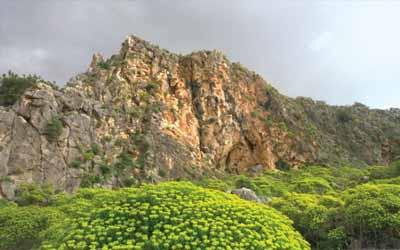 maxnaturaleza's tweet image. Monte Carmelo. Israel . Tierra Santa. #mundoverde #planetaverde