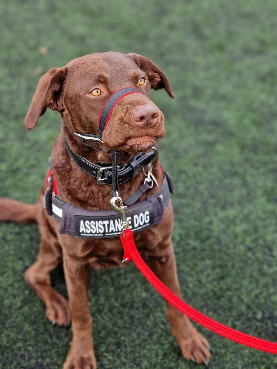 South Yorkshire Ability Counts League tweet media