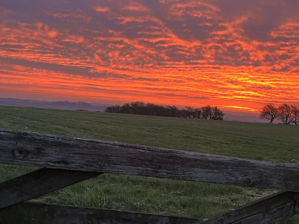 annalomas68's tweet photo. Beautiful start to a Sunday morning #sunrise #SundayMotivation #fyldecoast https://t.co/dSxrMk28fG