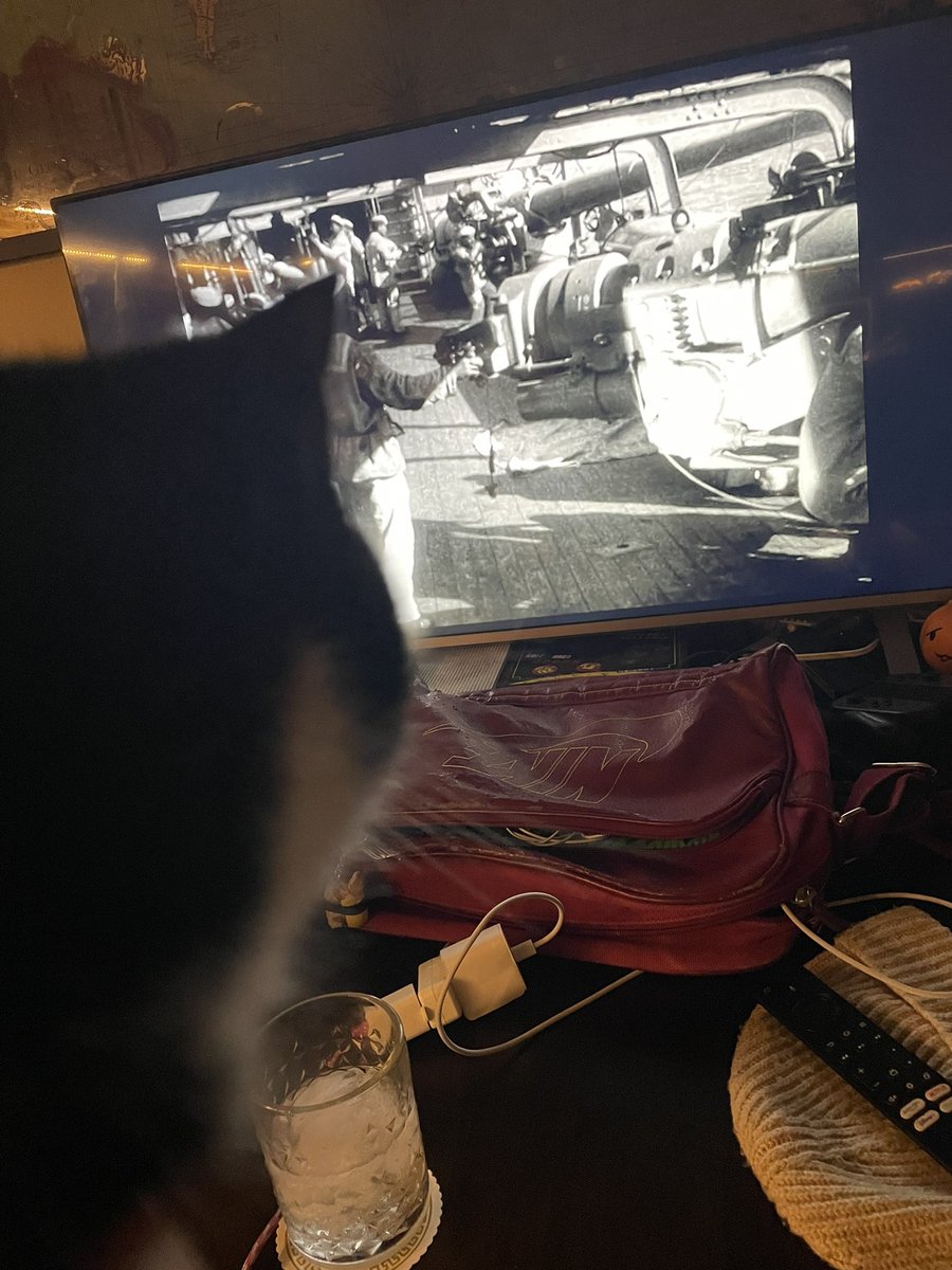 moonbrotherdev's tweet photo. making my cat watch battleship potemkin https://t.co/yojbnIIx2v