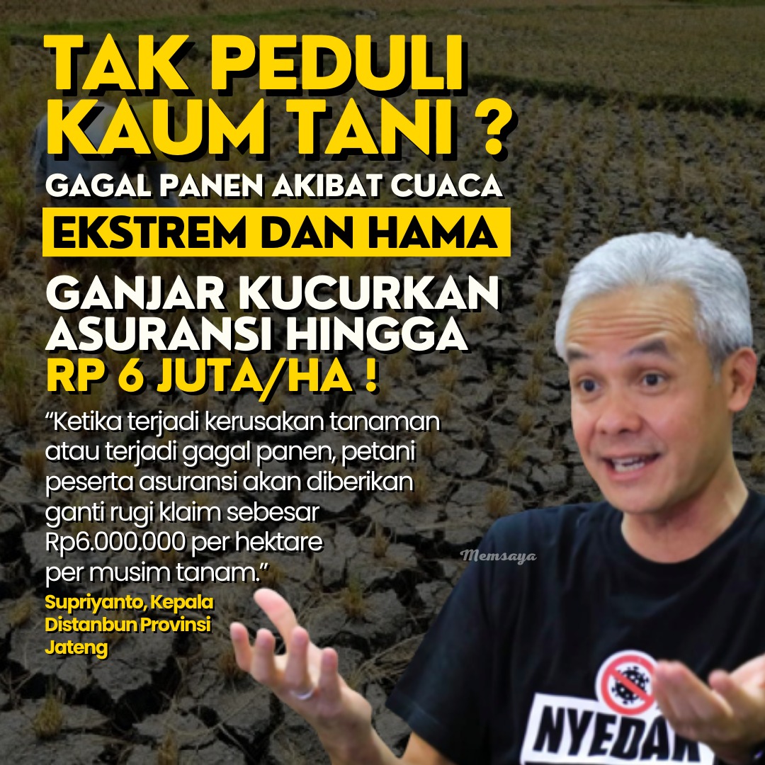 Pak Ganjar memang pro kaum tani 🥰🫰
gong xi fa cai Coraline PARK JISUNG THANK YOU Cuddle Emina Quran Teachers Amity Diamond Mount Flipped Kelahiran 1999 Jokowi Dodo Cuma 2 CCTV Xin Nian Kuai #MySchoolPresidentEP7 Sejarah skincare andalan Terrorists Antifa Kelinci Air