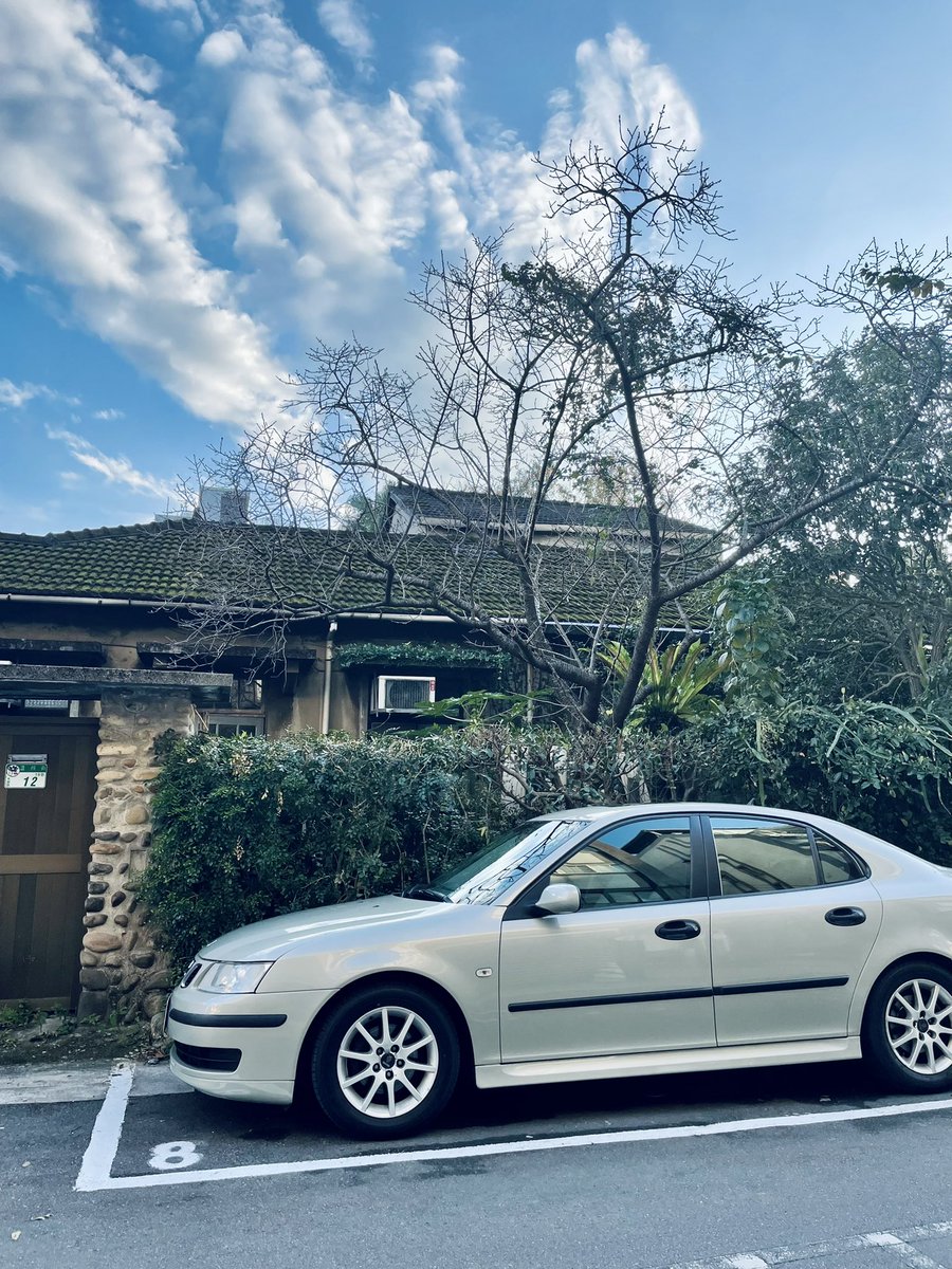 Yuwei's tweet photo. 還是走在一樣的街區 散步拍照，在這年節期間 微空蕩的臺北我城。 https://t.co/i0TCYLgpNe