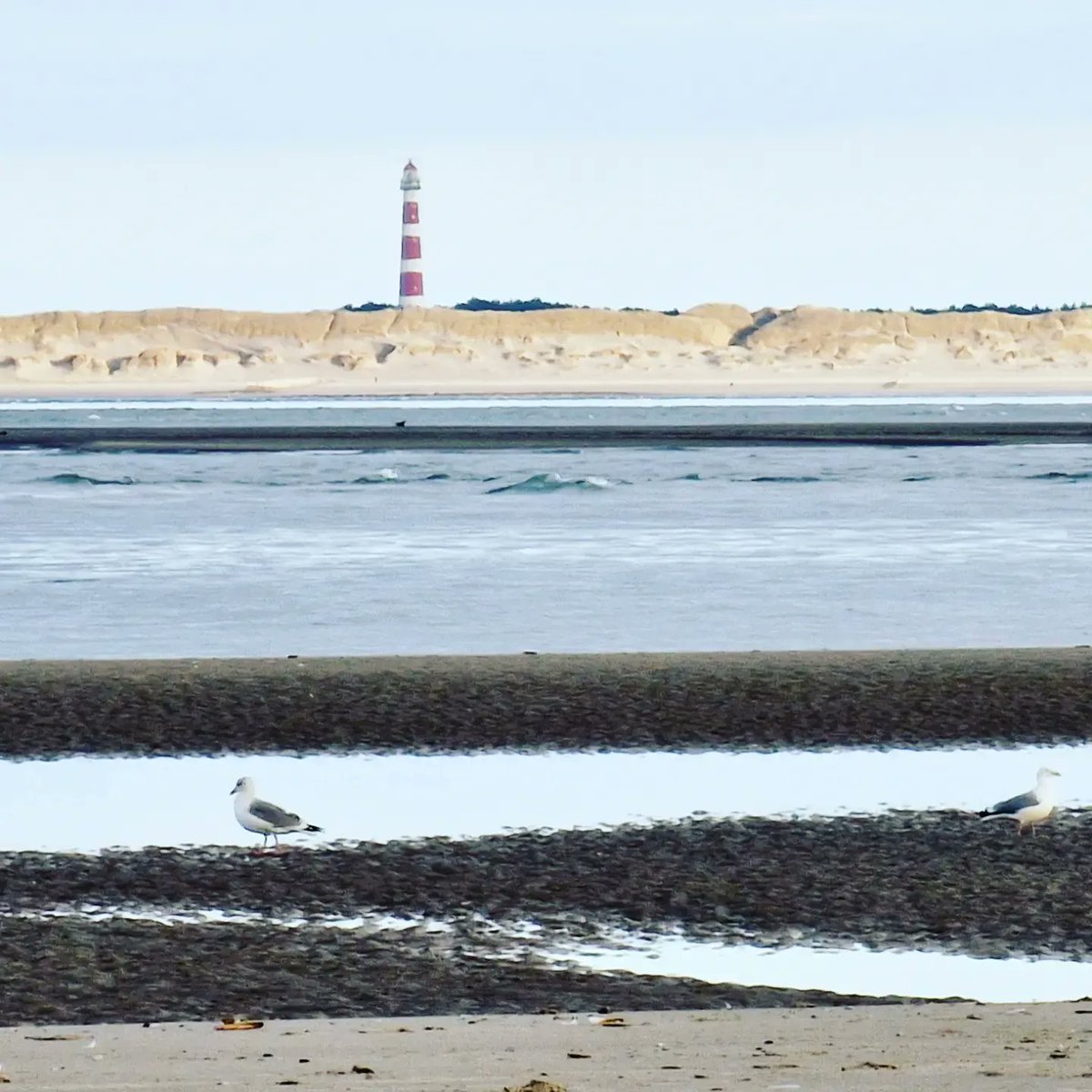 Kijkje naar Ameland vanaf Terschelling, zo helder.#Terschelling <a href="/DZK_deWadden/">De Zee Kust DE WADDEN</a>