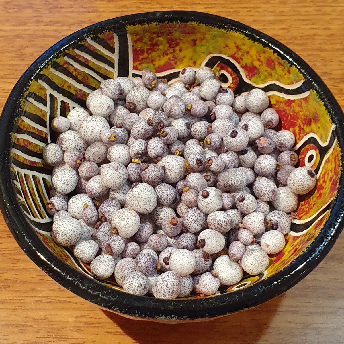 jenni_gunter's tweet photo. Any #bushfood aficionados have a suggestion for these midyim berries?
Super soft, short shelf life and taste like a medicinal chai.
If I don't 'taste test' them all, I'm contemplating muffins. Error? https://t.co/IdxNvBJe3F