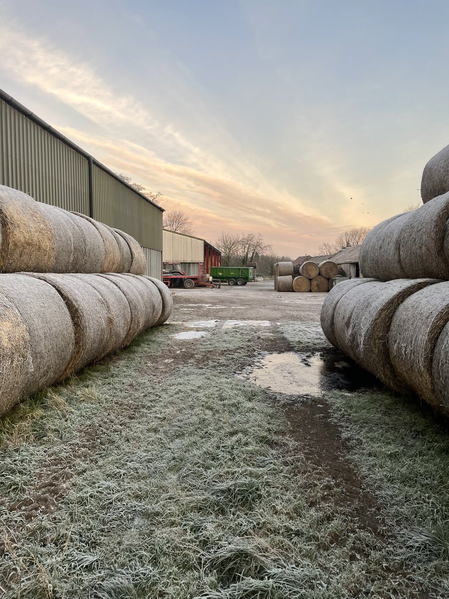 saveoldmaltonc1's tweet image. Lovely, frosty morning on the farm. #oldmsmithy #farmyard #workingfarm #malton #sunday #landforfood