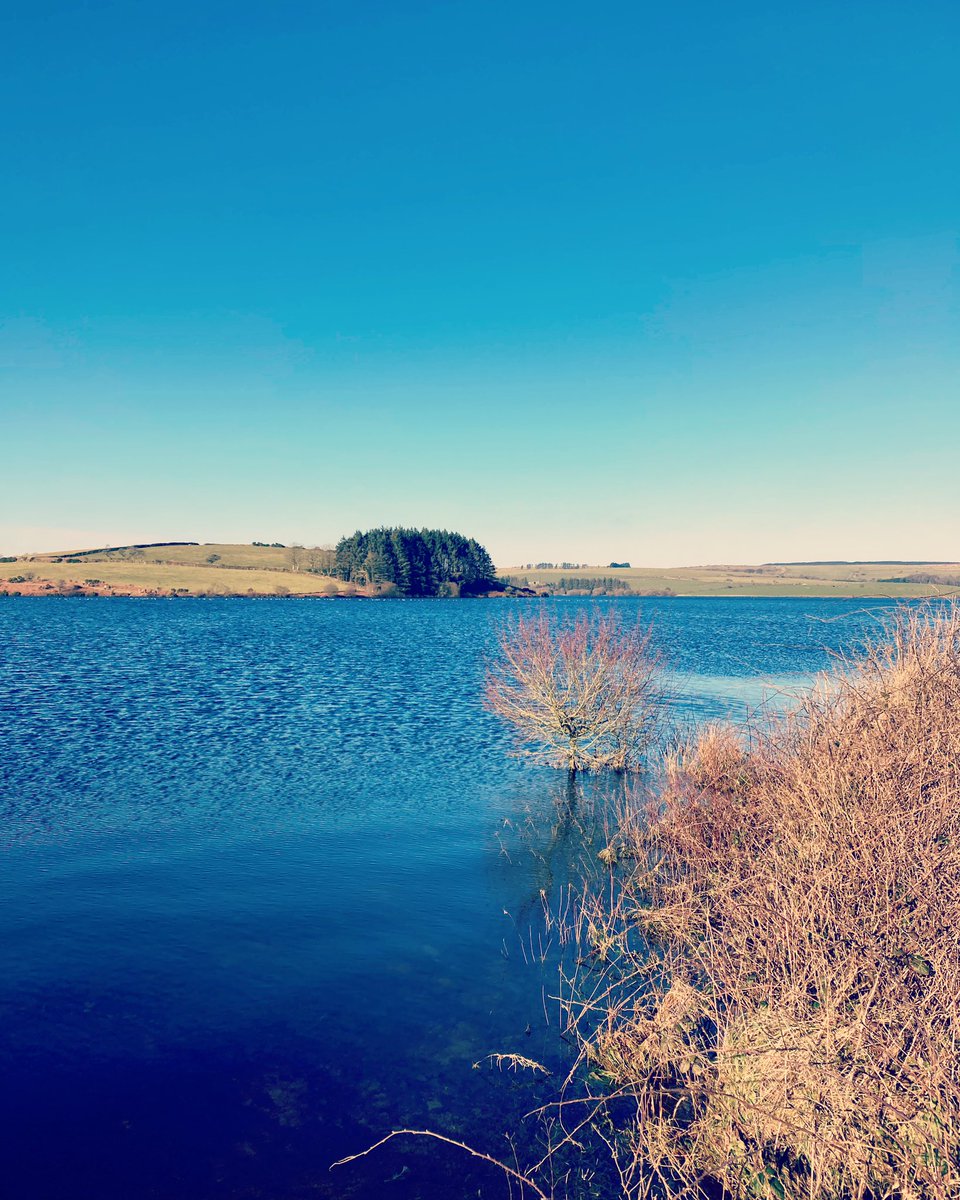 claireandethel's tweet photo. Some snaps from a stroll around Siblyback in the sunshine with Mr Stevens & little Ethel dog. Reassuring to see the raised water levels returned to the reservoir
#cornwall #cornishlife #siblybacklake #sunshine #southwestlakestrust #walkswithethel #winterwalks https://t.co/MLcek1OwrS