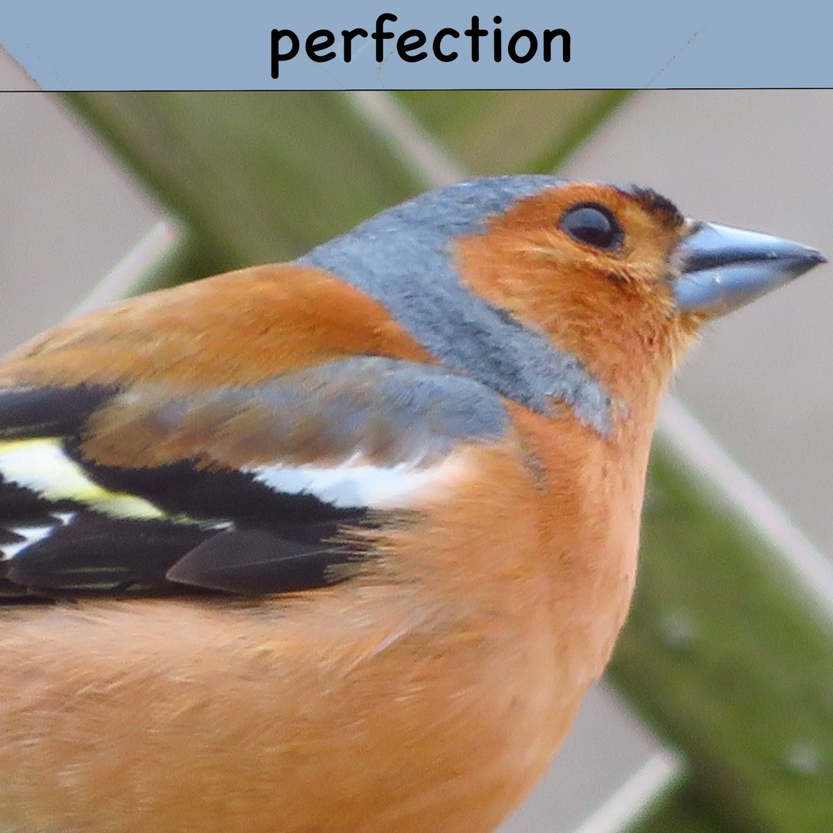 EmailfromHeaven's tweet photo. A daily beautiful song ~~ just listen🎶🎶🎶 Perfection.
Peace and love to the World  🕉️ https://t.co/gCvN3AvyKu