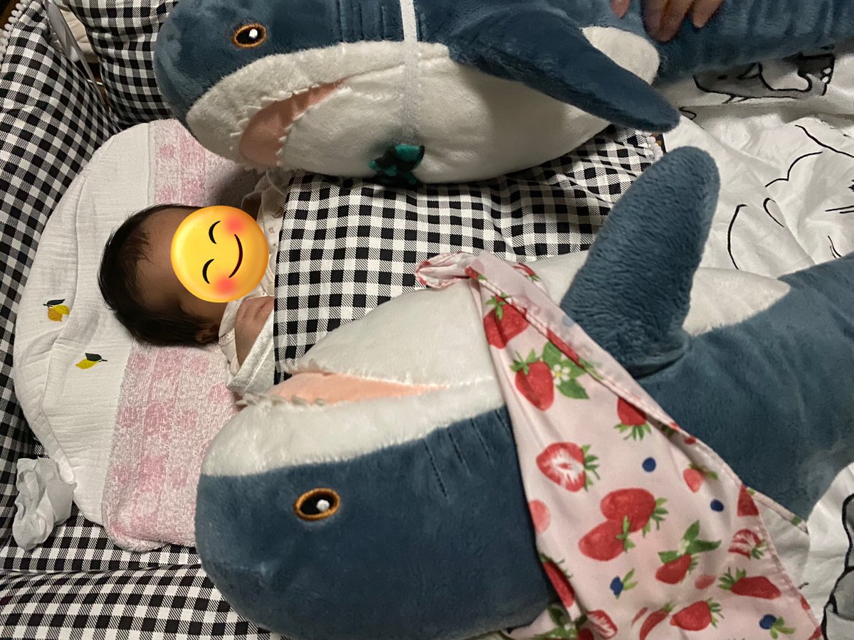 10Ymk's tweet image. 子守が板についてきたサメたち🦈
じぃじがご飯を食べている間（右手以外麻痺で動かないので）の見守り中は
我が子はじぃじのベッドの上で待機です🛏

じぃじのパートナー（デイサービスに行く時に足の間に挟む）エリートバナナのバナオくんが強めだ😳

#ikeashark
#IKEAのサメ
#子守するサメ