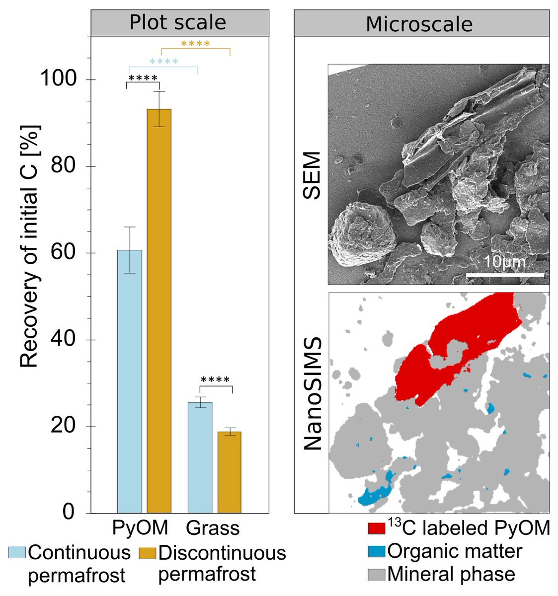 MSchiedung's tweet photo. Interested in #permafrost #soils, #carbon & #pyrogeniccarbon dynamics?
Now out: Enhanced loss but limited mobility of pyrogenic and organic matter in continuous permafrost-affected forest soils in @SoilBiolBiochem
➡️ https://t.co/0bAHB00RQO
Here what we found:
1/ https://t.co/TbGoSBJ6Zr