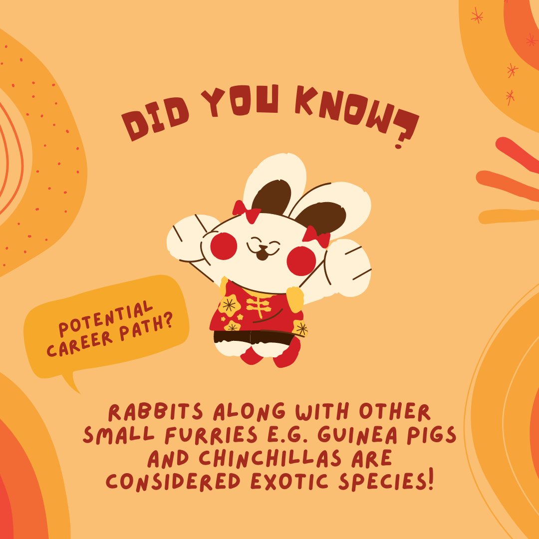 Animal Aspirations tweet media