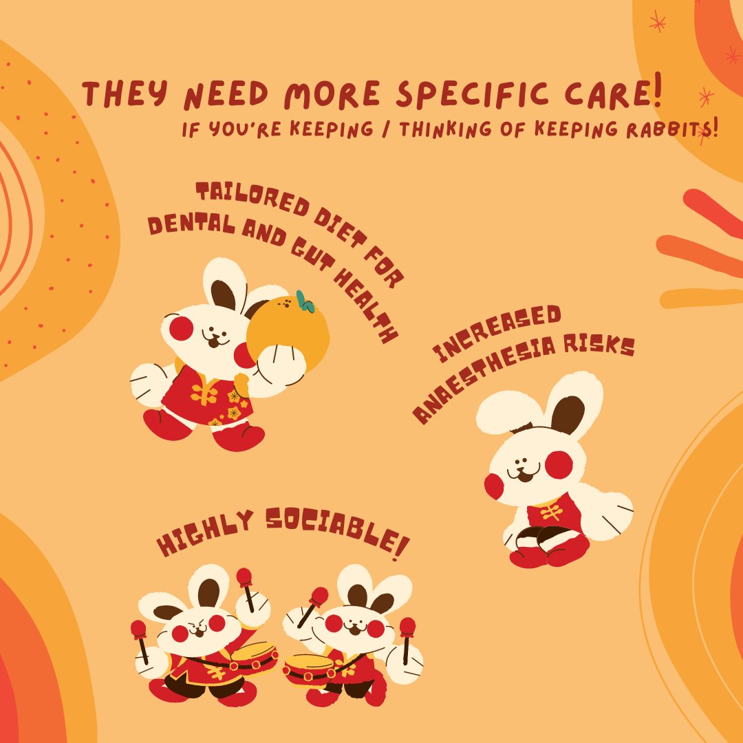 Animal Aspirations tweet media