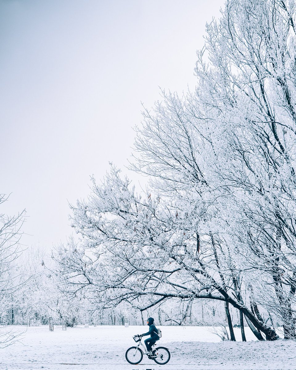 hashtagalek's tweet photo. Obraz po wczorajszym ataku zimy ❄️

📍Pole Mokotowskie, Warszawa https://t.co/BX4qfMFjZ7