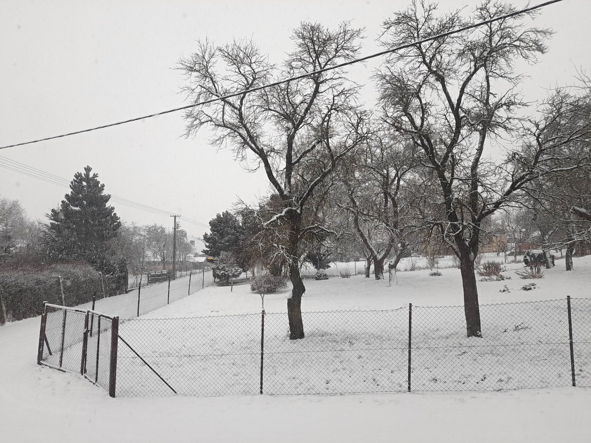 DenikVysocina's tweet photo. Výhled z okna na #Vvysocina, konkrétně #Moravec na #Zdarsko: sněžení a nově napadlý sníh ❄️ A jak to vypadá právě teď u vás? Podělte se o #foto nebo #video.
#VyhledZokna #pocasi #snih #snezeni @CHMUCHMI https://t.co/JNapSGAH4D