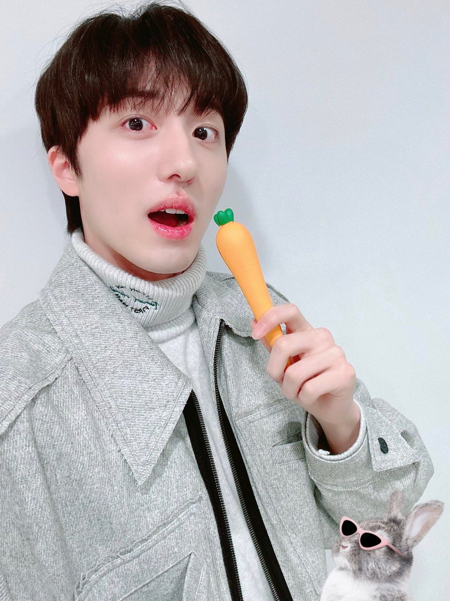 shootforPeach's tweet photo. 잉 토끼다!!! https://t.co/FLbzErxmEw